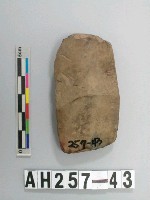 藏品(有段石錛)的圖片